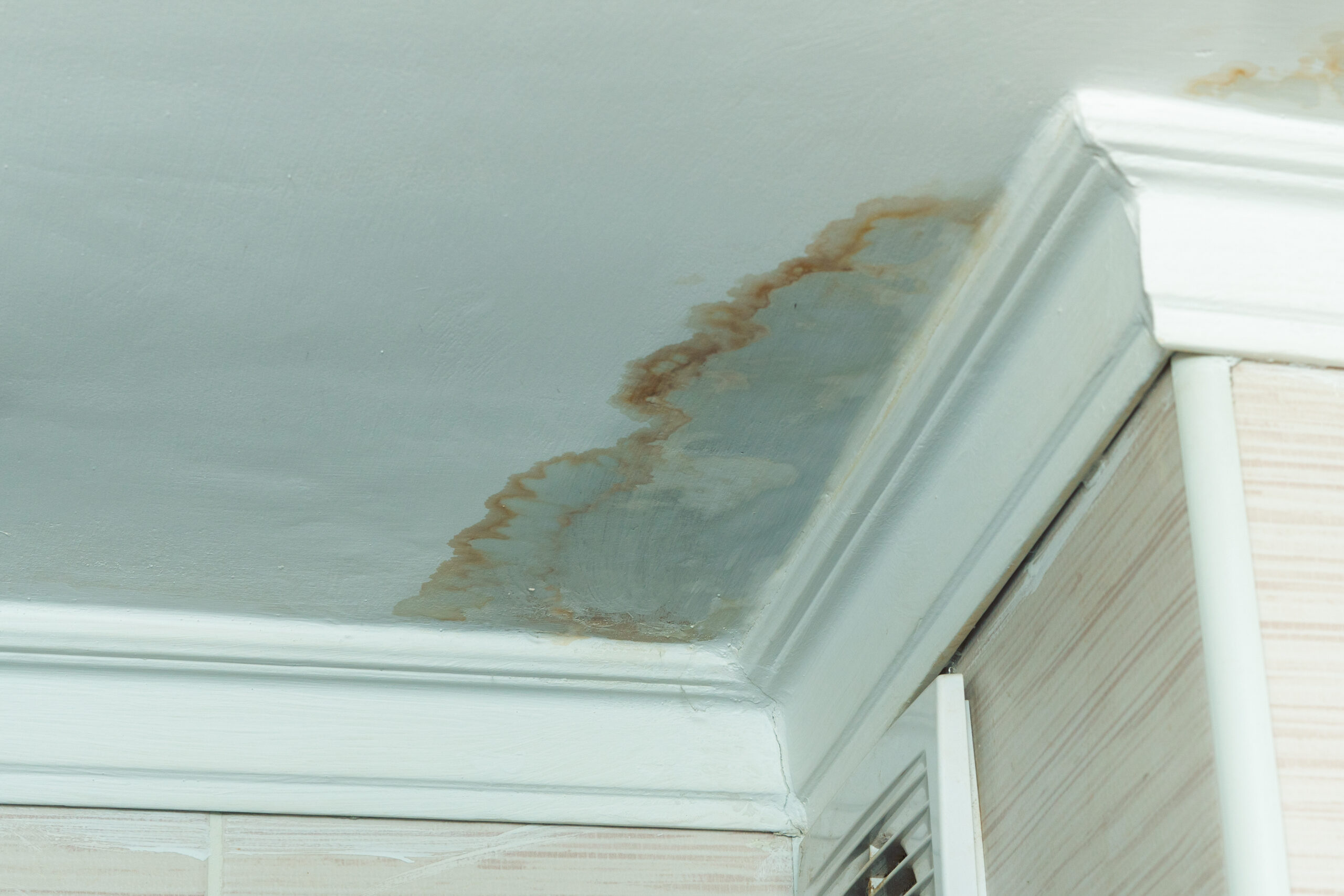 壁や天井の雨漏りのシミを消す方法とは？シミ消し前にすべきことも解説！