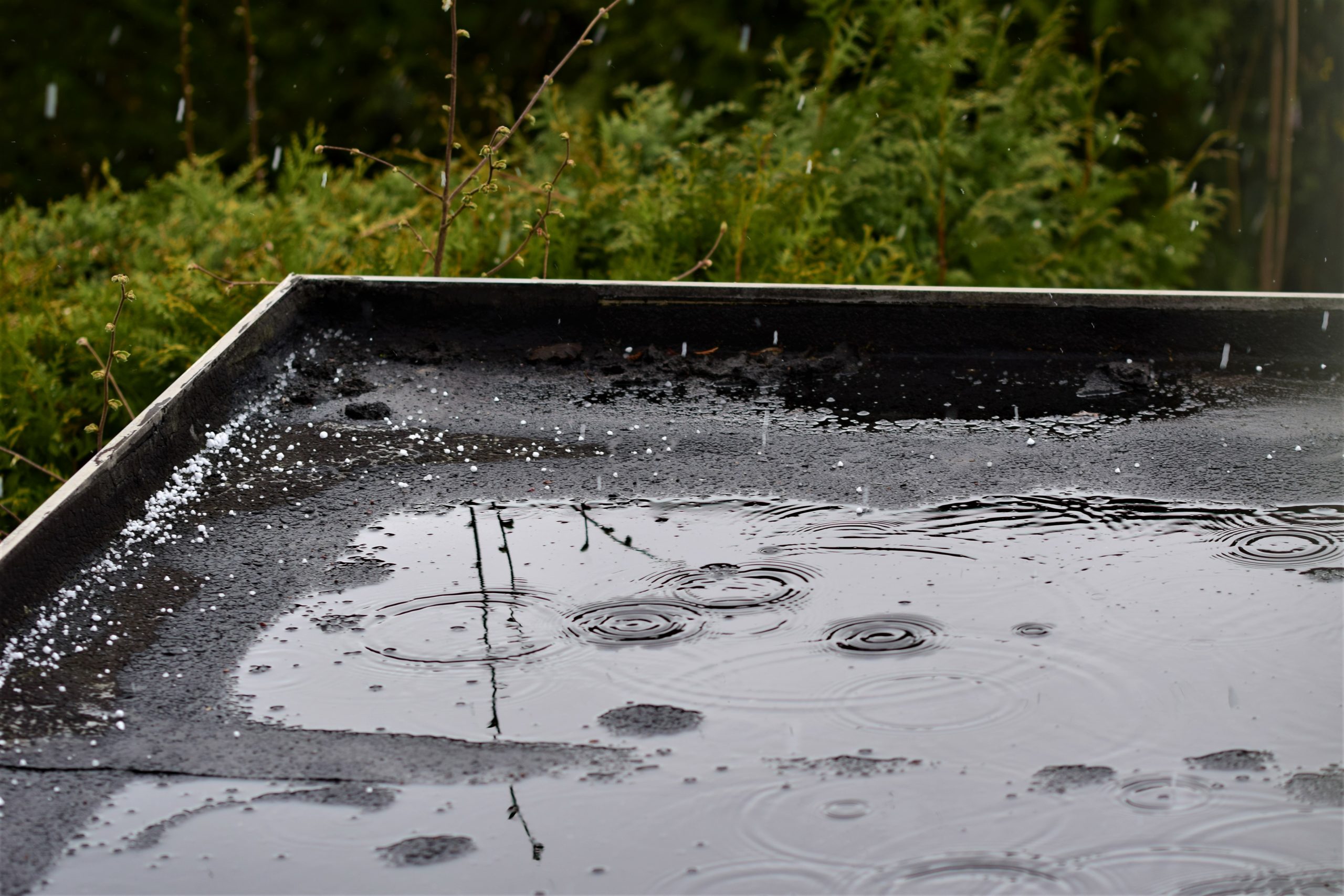 陸屋根で雨漏りが発生！素早くできる応急処置の方法とは