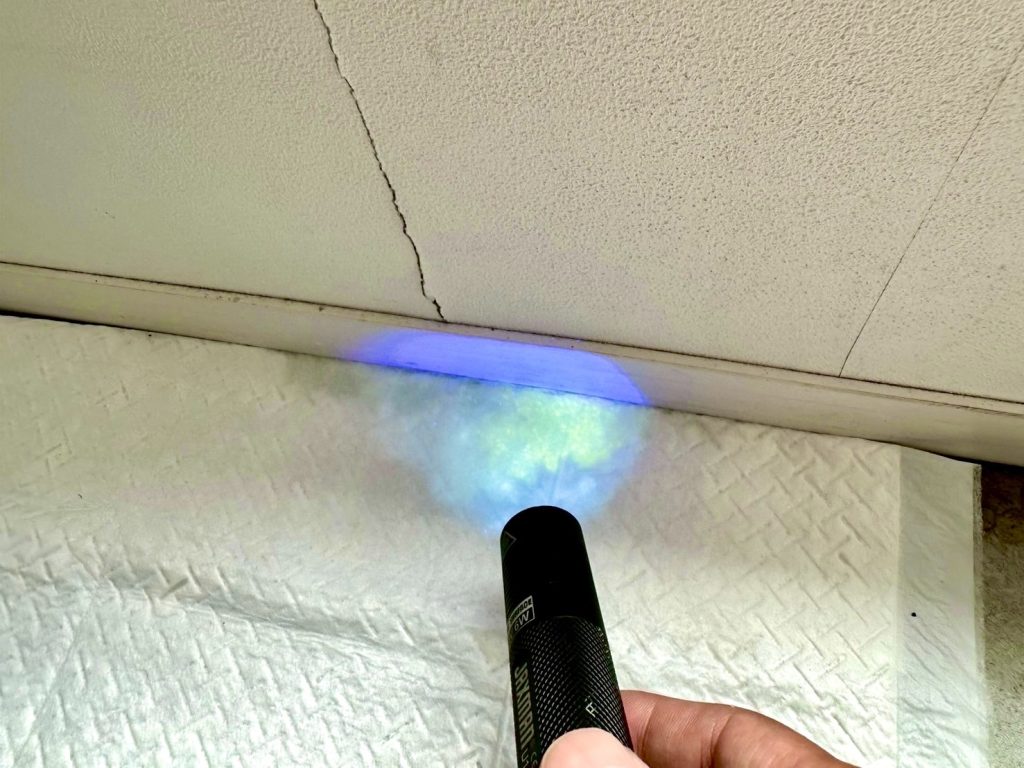 室内床まわりにブラックライトを照射し、黄色に発光した調査液が確認