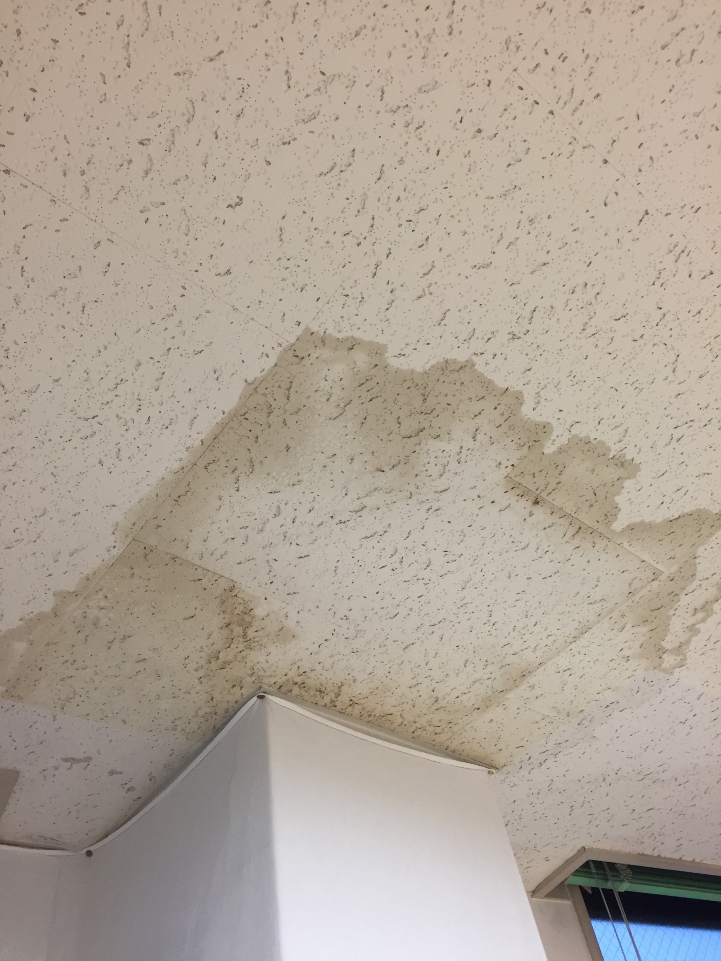 雨漏りが賃貸で放置されたときのリスクと正しい対処法とは?