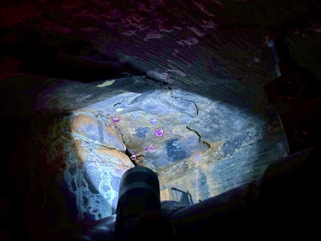 室内(点検港内部)にて発行反応を確認