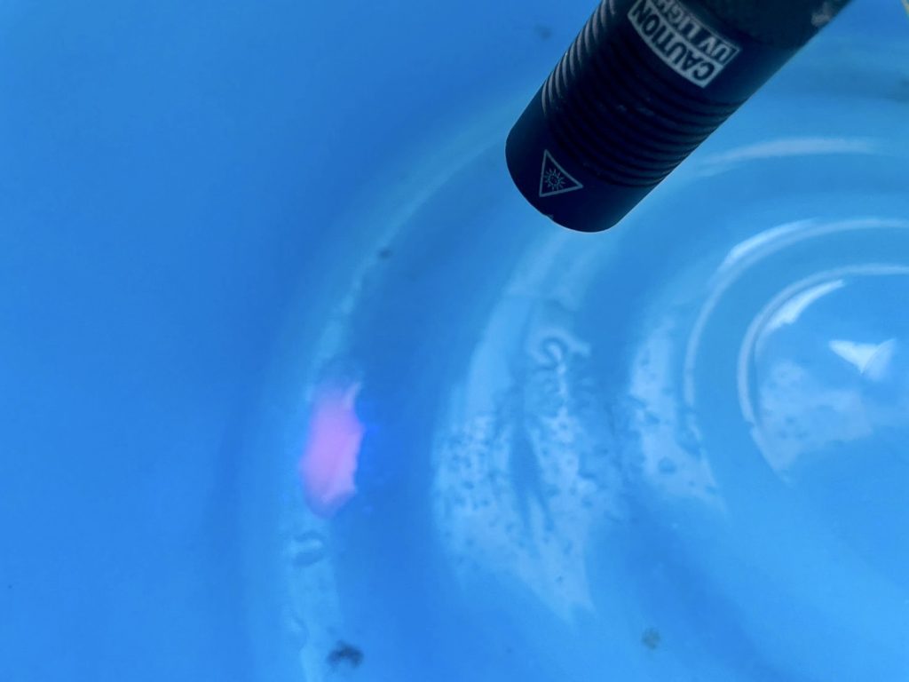 室内に置かれたバケツ内の水が赤色に発光している様子。調査液の反応によって雨水の浸入が特定された。