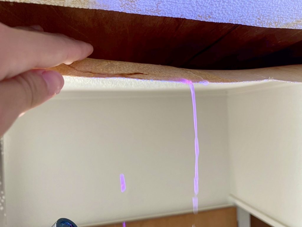 下の階の天井裏にて、ピンク色の調査液が浸入しているのを確認しました。
