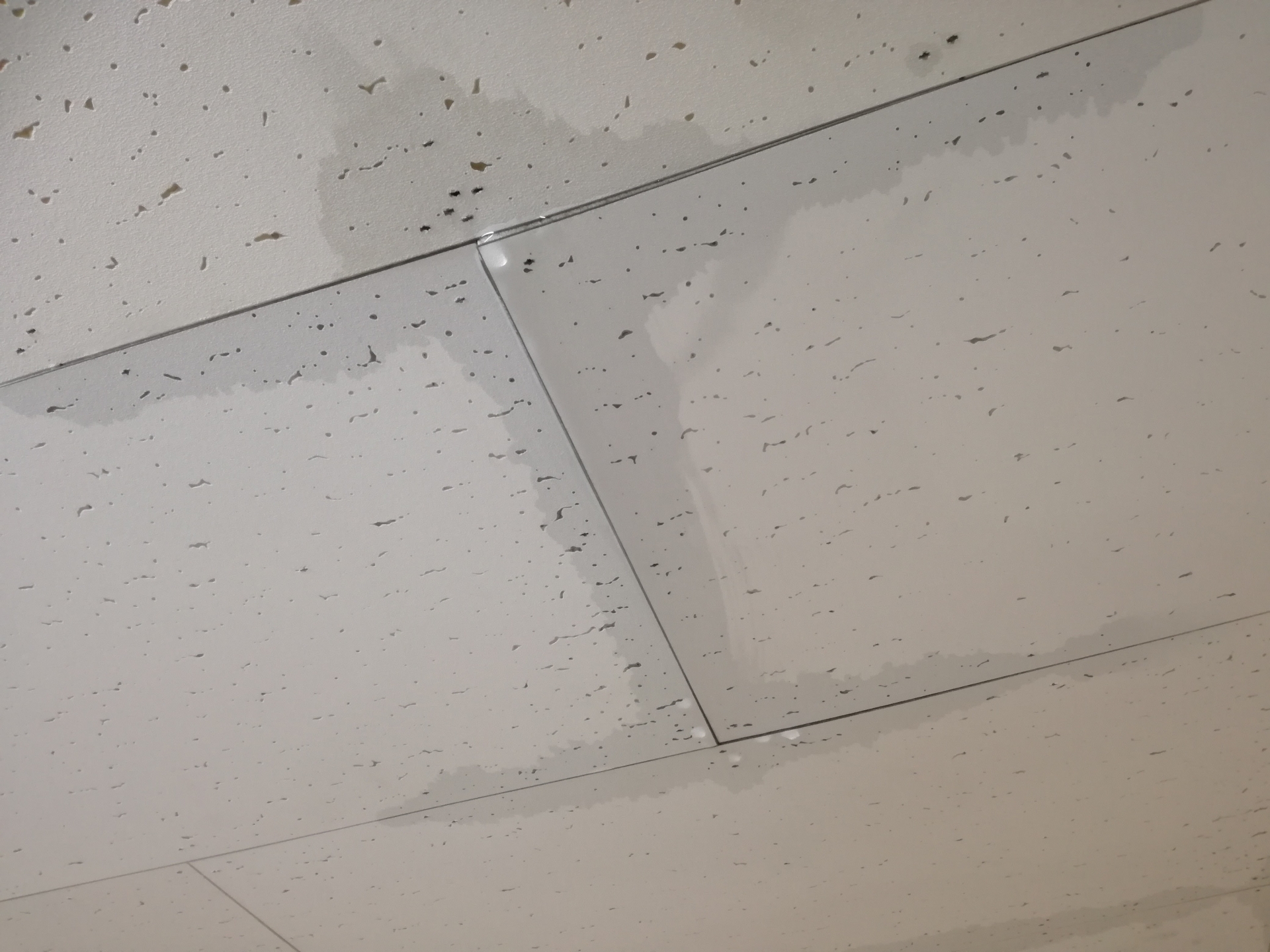 雨漏り修理を自分で始める前に知っておくべき完全ガイド