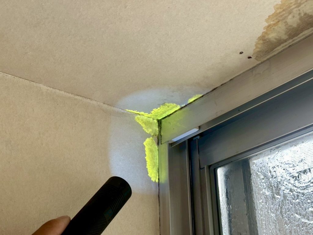 室内にてイエローの発光を確認