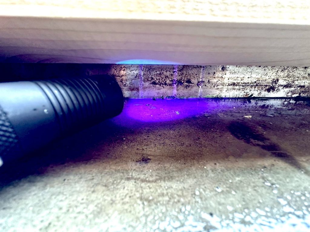 室内にてピンクの発光を確認