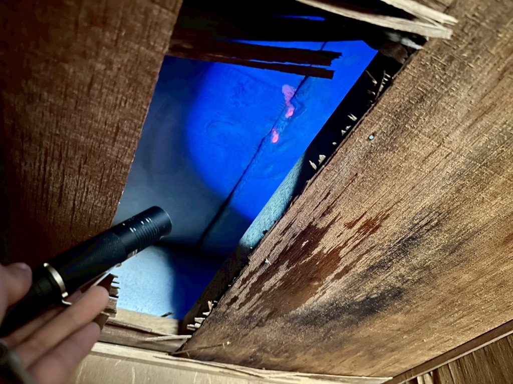 室内にて発光反応(レッド)を確認