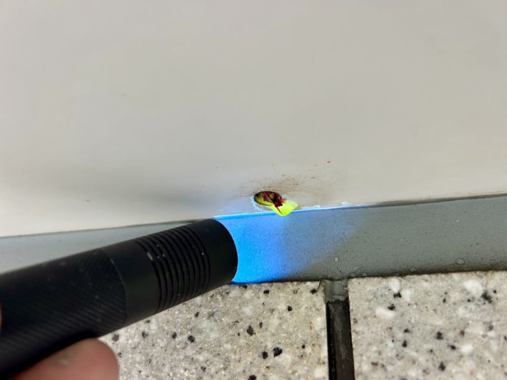 庇天井にて発光反応(緑)を確認