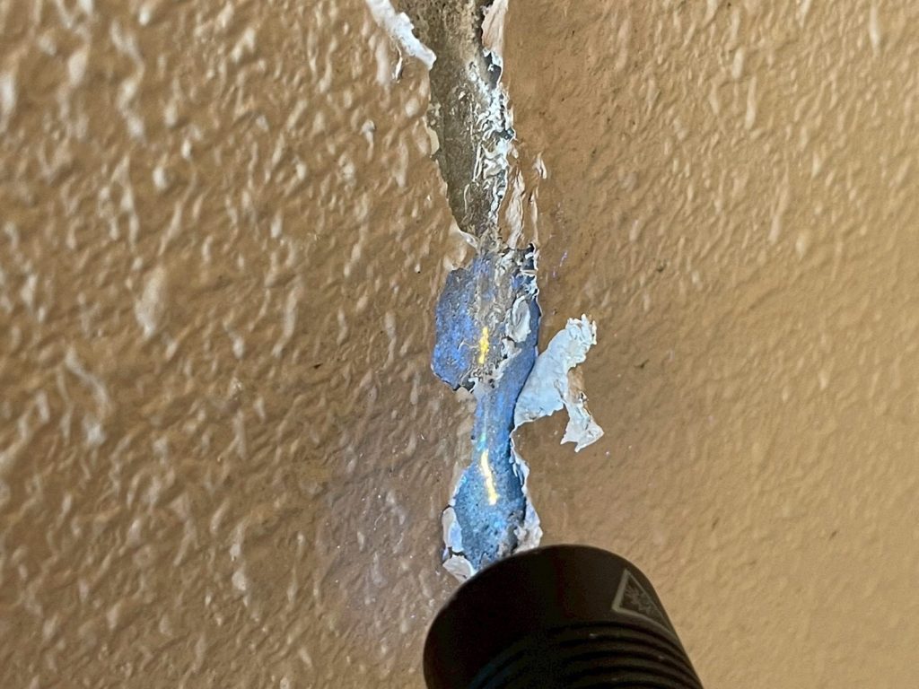 室内、内壁にて発光反応(オレンジ)を確認