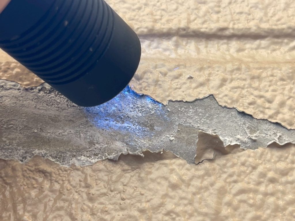 3階室内、内壁にて発光反応(ブルー)を確認