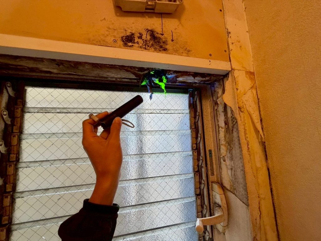 室内側にて発行反応(グリーン)を確認