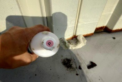 調査液(ピンク)を添加し散水