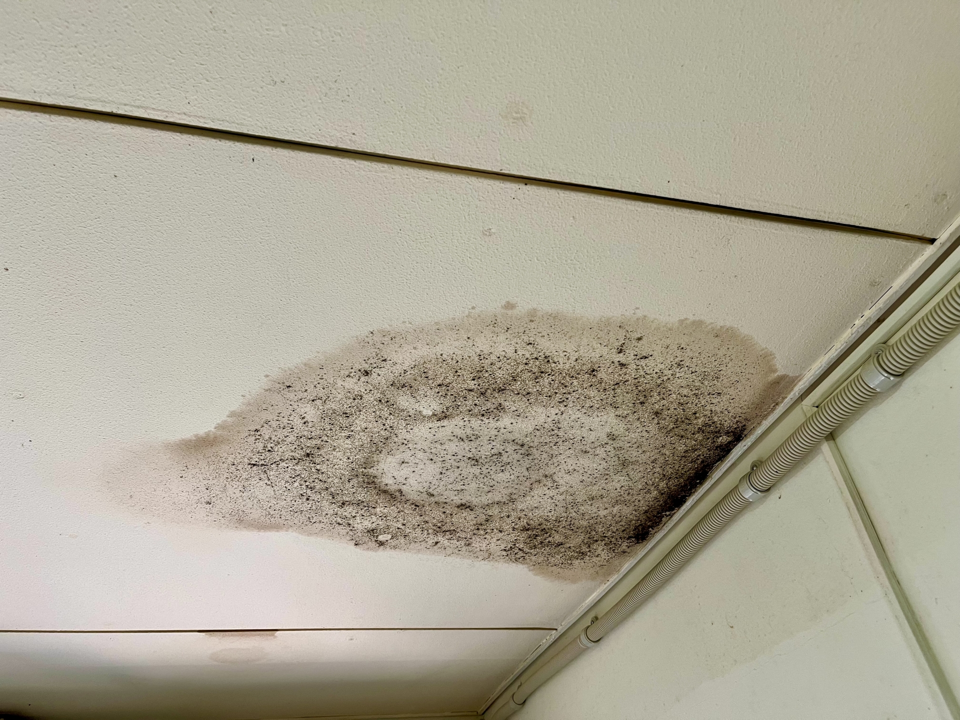 <strong>雨漏りが1階だけで発生する原因と見逃しやすい浸水経路を徹底解説</strong>