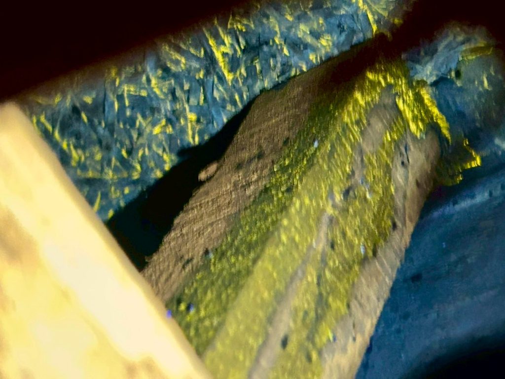 押し入れ天井裏、開口部にて調査液の発光反応(イエロー)を確認