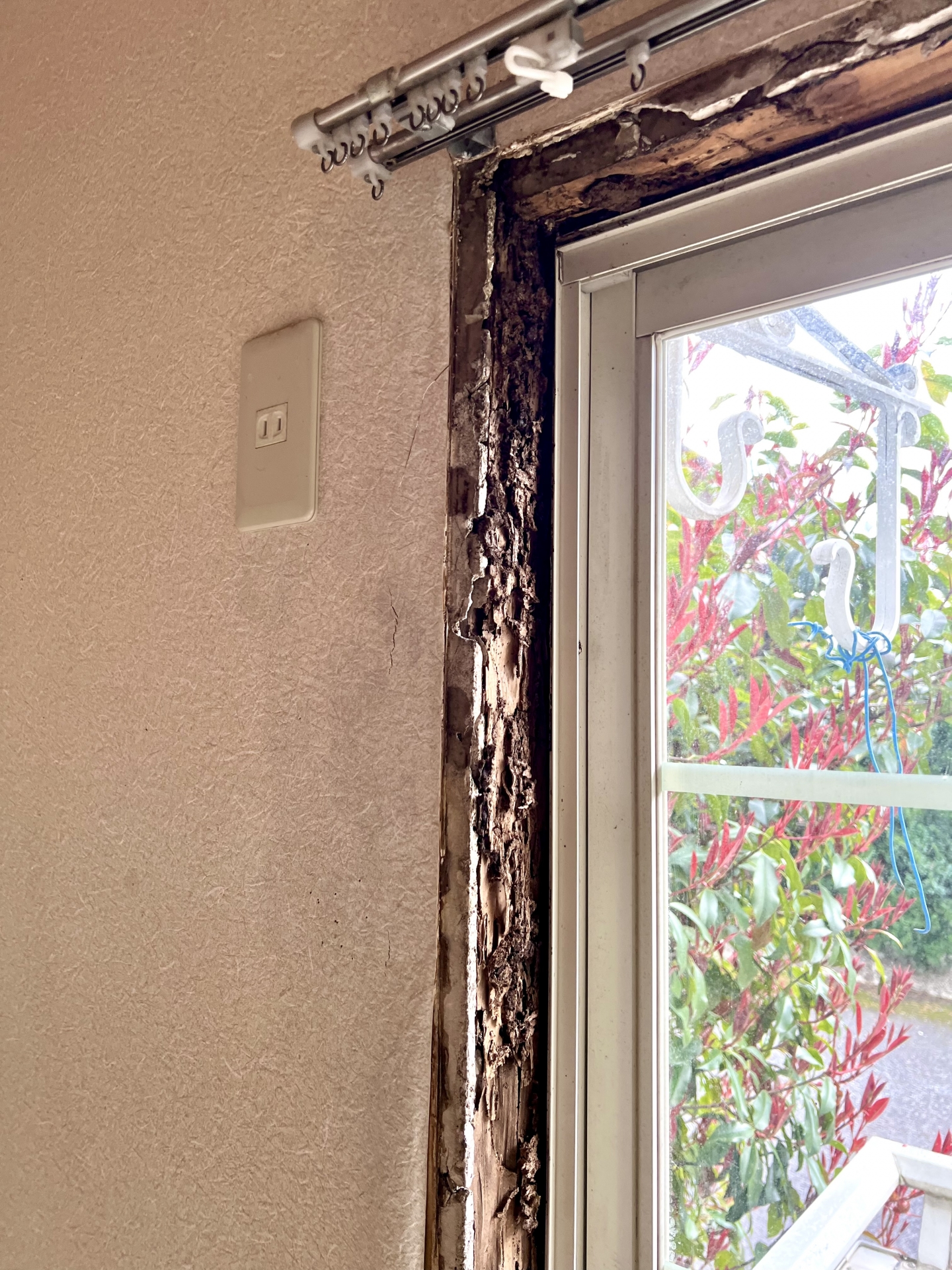 湿気による壁紙の浮きの原因と対策を徹底解説！誰でもできる簡単な直し方も紹介