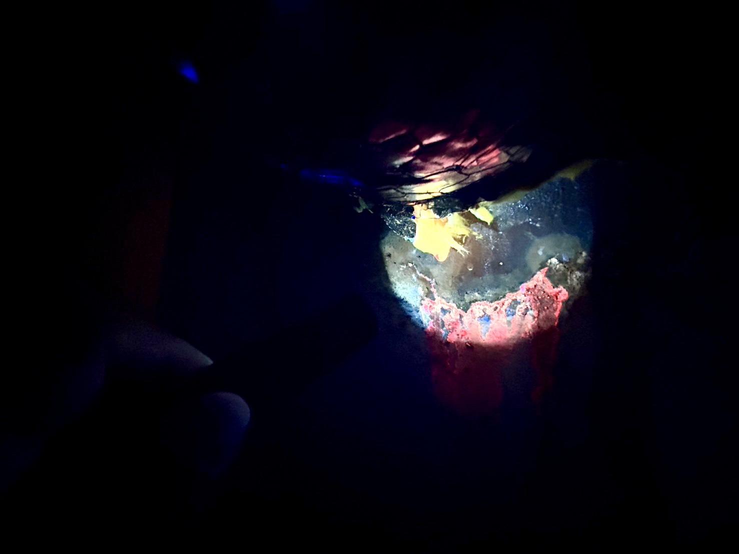 2026/3/31 雨漏り調査💧｜静岡県内ホテル施設