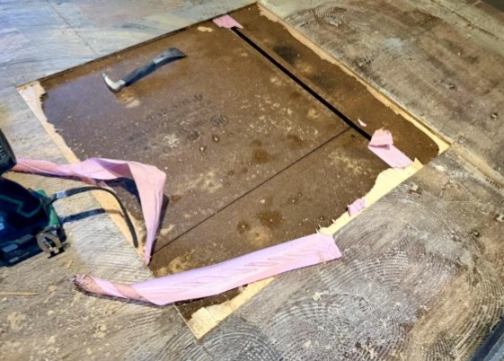 既存ラワン撤去