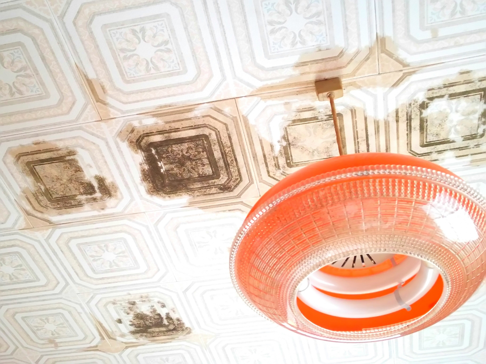 天井の照明から雨漏りしたらどうする？原因と漏電リスク・対処法を解説