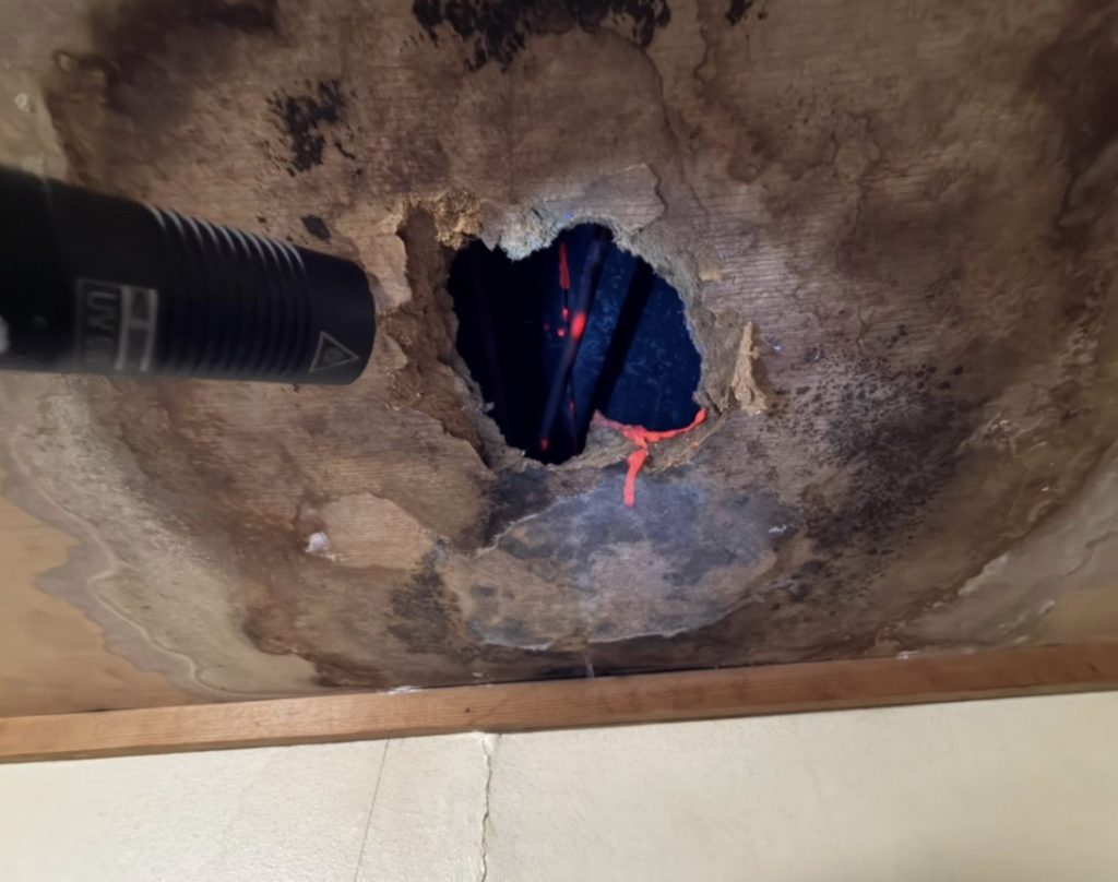 室内にて発光反応(レッド)を確認