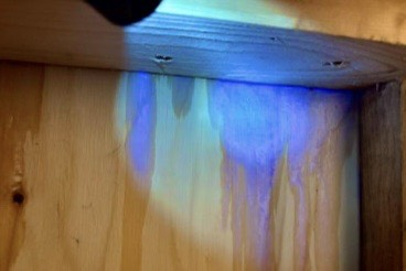 雨漏り調査　室内側にてブルーの発光反応を確認
