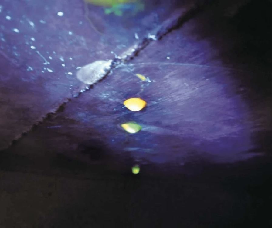 発光液を使用した雨漏り調査